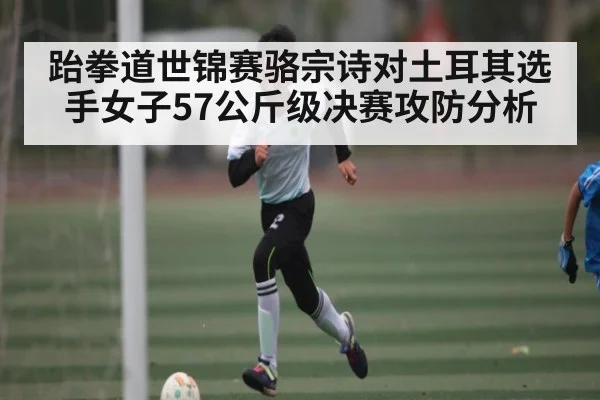 跆拳道世锦赛骆宗诗对土耳其选手女子57公斤级决赛攻防分析